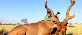 Сообщество охотников за трофеями: мир коллекций, соревнований и истории